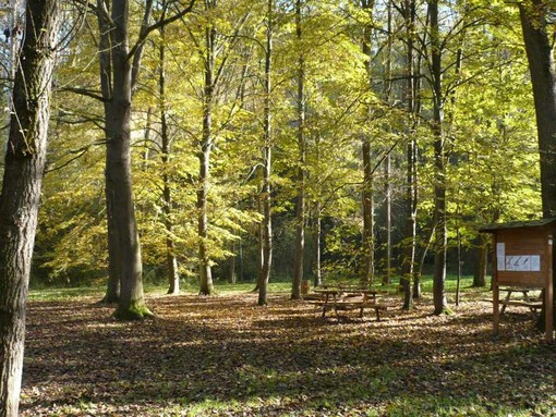 Il parco di Rocchetta Tanaro Il parco di Rocchetta Tanaro