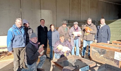 Successo per la Fiera del cappone di San Damiano d'Asti: tradizione, territorio e giovani al centro Successo per la Fiera del cappone di San Damiano d'Asti: tradizione, territorio e giovani al centro