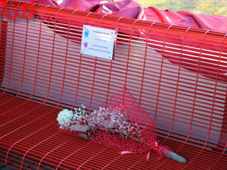 Galleria fotografica MerfePhoto