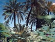 Il mondo visto dall'obiettivo di Emanuele