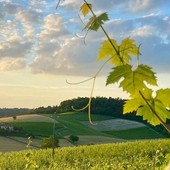 Immagine di Paola Bussa per il concorso Astigiano terra di amore Immagine di Paola Bussa per il concorso Astigiano terra di amore