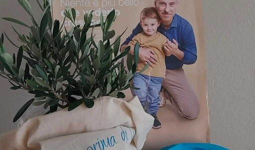 Un ulivo per i bambini nelle emergenze: l’UNICEF torna in piazza ad Asti Un ulivo per i bambini nelle emergenze: l’UNICEF torna in piazza ad Asti