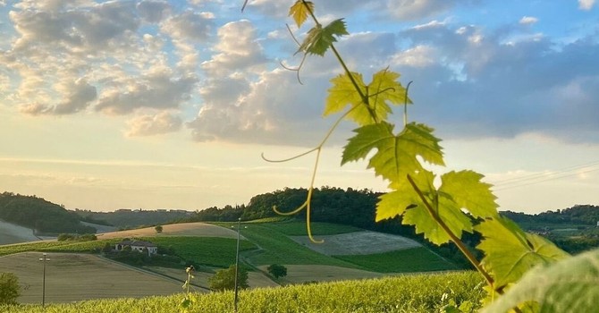 Immagine di Paola Bussa per il concorso Astigiano terra di amore