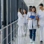 Inps Piemonte apre le selezioni per 26 medici legali Inps Piemonte apre le selezioni per 26 medici legali