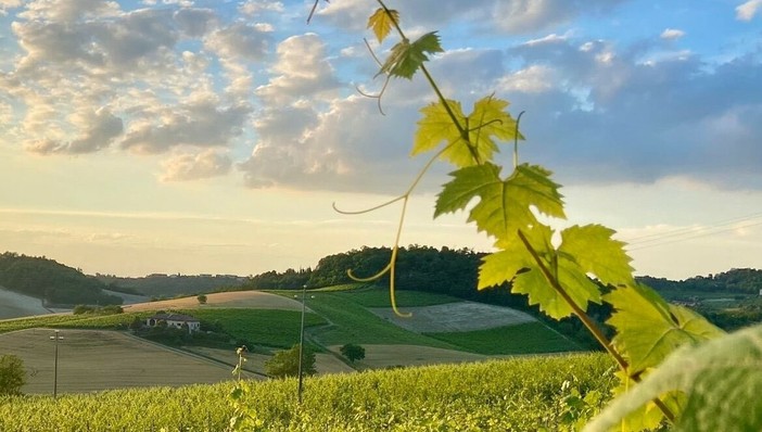Immagine di Paola Bussa per il concorso Astigiano terra di amore