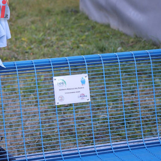 Galleria fotografica MerfePhoto Galleria fotografica MerfePhoto