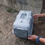 L'immagine dal profilo FB di uno dei volontari