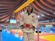 Judo: un infortunio nega la gioia a Isabella Farauanu: Judo: un infortunio nega la gioia a Isabella Farauanu: