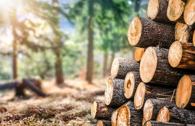 Dazi USA sul legno, Confagricoltura Piemonte lancia l'allarme: &quot;Grave zavorra per 3.500 aziende&quot;