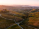 Nuovi vertici per Visit Piemonte. La presidenza resta in provincia di Cuneo (in foto uno scorcio delle Langhe dalle pagine dello stesso portale di promozione turistica)