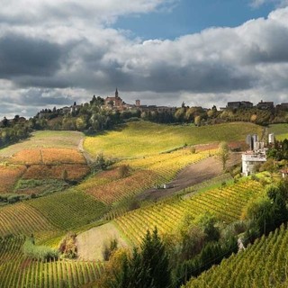In foto: una veduta di Castel Rocchero