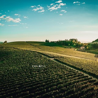 Le colline della Barbera di Costigliole d'Asti ritratte sontuosamente da Exploria