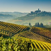 Vitivinicoltura, dalla Regione 6,2 milioni di euro a 377 vignaioli piemontesi per la ristrutturazione dei vigneti Vitivinicoltura, dalla Regione 6,2 milioni di euro a 377 vignaioli piemontesi per la ristrutturazione dei vigneti