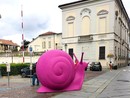 Foto tratte dal gruppo Asti (Facebook)