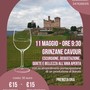 Escursione enologica a Grinzane Cavour tra vigneti e degustazioni