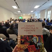 Vendemmia da otto stelle per il Piemonte 2025, ma calano gli ettari di vigneto