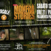 La battaglia degli alberi nelle città moderne al centro di Monfrà Stories LIVE La battaglia degli alberi nelle città moderne al centro di Monfrà Stories LIVE