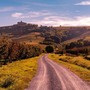 Un paesaggio autunnale nelle Langhe (Langhe Experience)