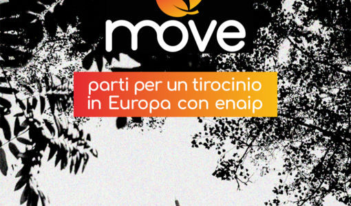 Tirocini in Europa per 30 giovani piemontesi: 4 mesi di formazione all'estero con Enaip Piemonte