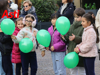 Galleria fotografica di Efrem Zanchettin - Video di Giulia Frontino Galleria fotografica di Efrem Zanchettin - Video di Giulia Frontino