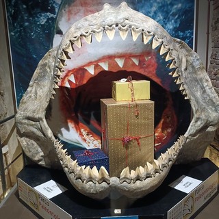 Il Museo Paleontologico dell'Astigiano presenta il calendario 2025: tombolate e laboratori per iniziare l'anno