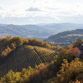 Il Monferrato protagonista del programma “4 Hotel”