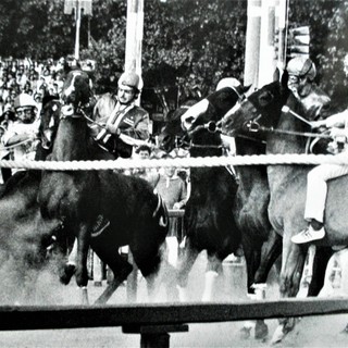 Foto Museo del Palio