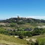Mongardino