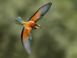 Alcune delle splendide fotografie in mostra