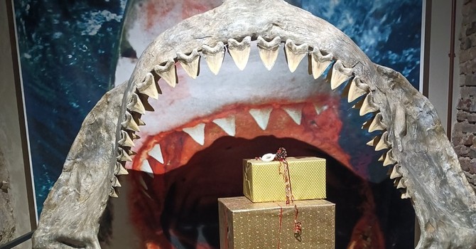 Il Museo Paleontologico dell'Astigiano presenta il calendario 2025: tombolate e laboratori per iniziare l'anno