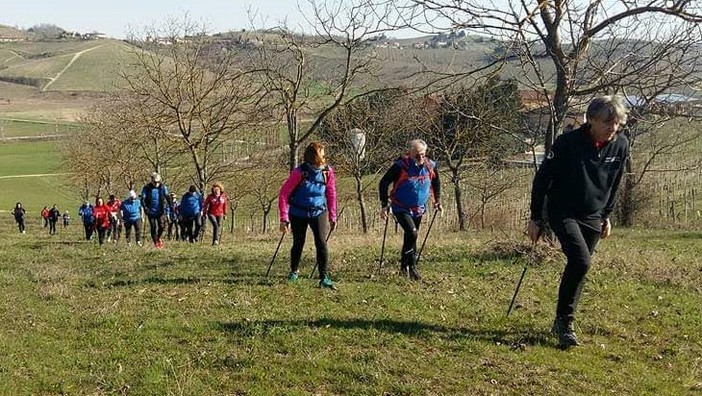Passeggiate  tra le colline del Monferrato: quando il benessere incontra la bellezza del panorama