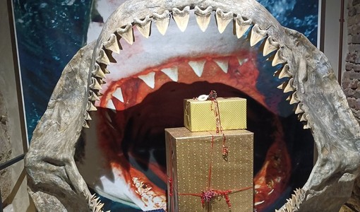 Il Museo Paleontologico dell'Astigiano presenta il calendario 2025: tombolate e laboratori per iniziare l'anno