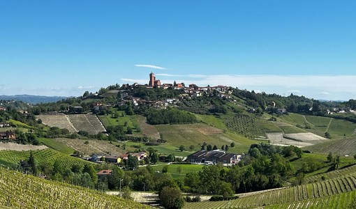 Mongardino