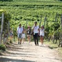 Mangialonga di La Morra 2026, domenica tra vigne, Barolo e sapori di Langa