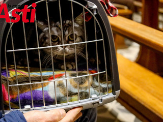 Ricca galleria fotografica a cura di Merfephoto - Efrem Zanchettin