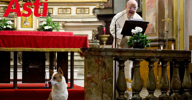 Ricca galleria fotografica a cura di Merfephoto - Efrem Zanchettin