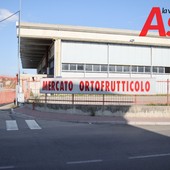 Caos mercati, l'affondo di Uniti si può: "Quattro piazze messe a dura prova in dieci anni" Caos mercati, l'affondo di Uniti si può: "Quattro piazze messe a dura prova in dieci anni"