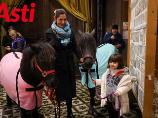 Ricca galleria fotografica a cura di Merfephoto - Efrem Zanchettin