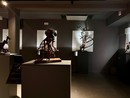Museo L'Anima del Vino alla Cantina Sociale Barbera dei Sei Castelli di Castenuovo Calcea