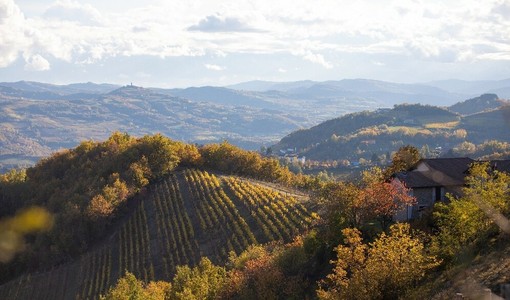 Il Monferrato protagonista del programma “4 Hotel”