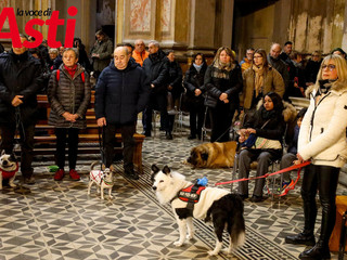 Ricca galleria fotografica a cura di Merfephoto - Efrem Zanchettin