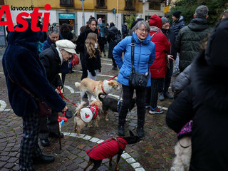 Ricca galleria fotografica a cura di Merfephoto - Efrem Zanchettin