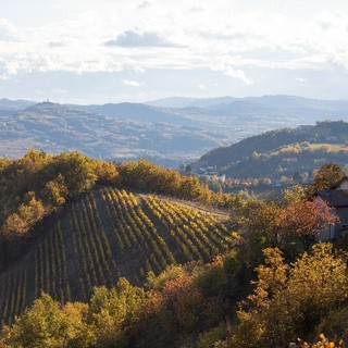 Il Monferrato protagonista del programma “4 Hotel”