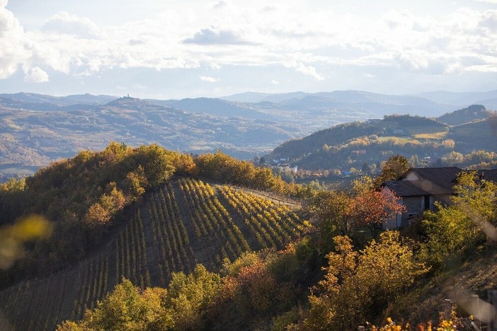 Monferrato (credits Masoero per Ente turismo)