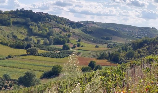 Mongardino entra nella famiglia dei comuni Amis di gite fuori porta in Piemonte: un nuovo angolo di Monferrato da scoprire