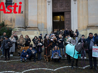 Ricca galleria fotografica a cura di Merfephoto - Efrem Zanchettin