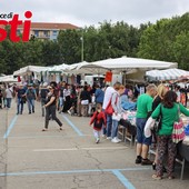 Galleria fotografica a cura di Merfephoto - Efrem Zanchettin