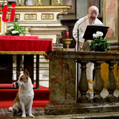 Ricca galleria fotografica a cura di Merfephoto - Efrem Zanchettin