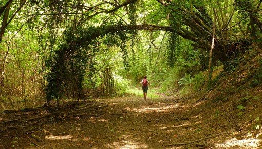 Vacanze Astigiane nella biodiversità della Val Sarmassa