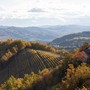 Il Monferrato protagonista del programma “4 Hotel” Il Monferrato protagonista del programma “4 Hotel”